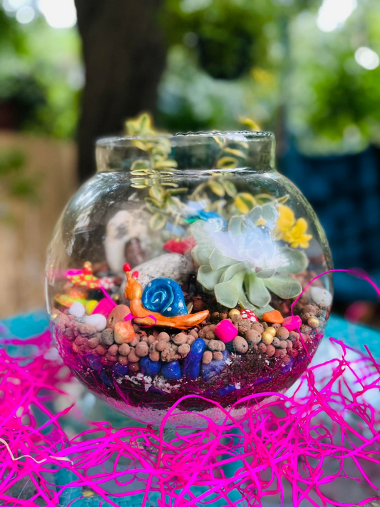 Vibrant Handmade Terrarium