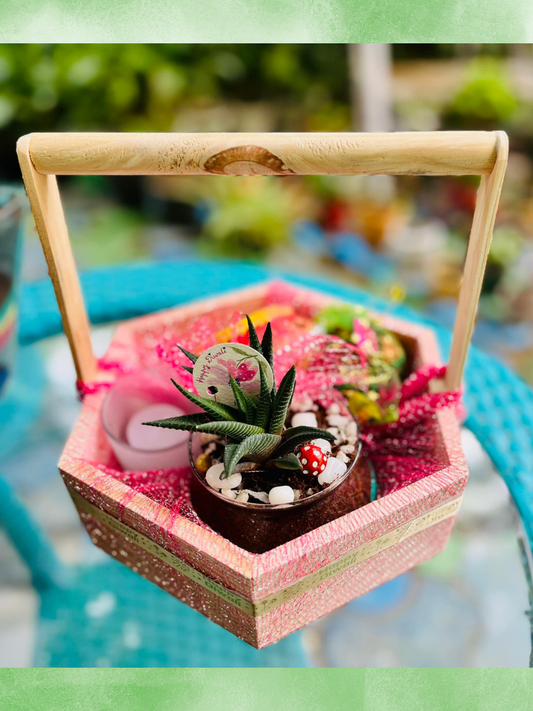 Green Bliss Gift Hamper