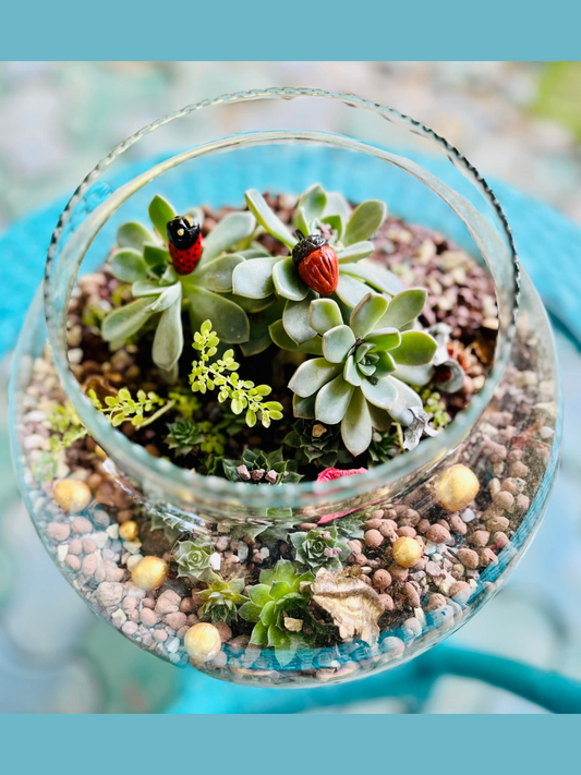 Enchanting Succulent Terrarium