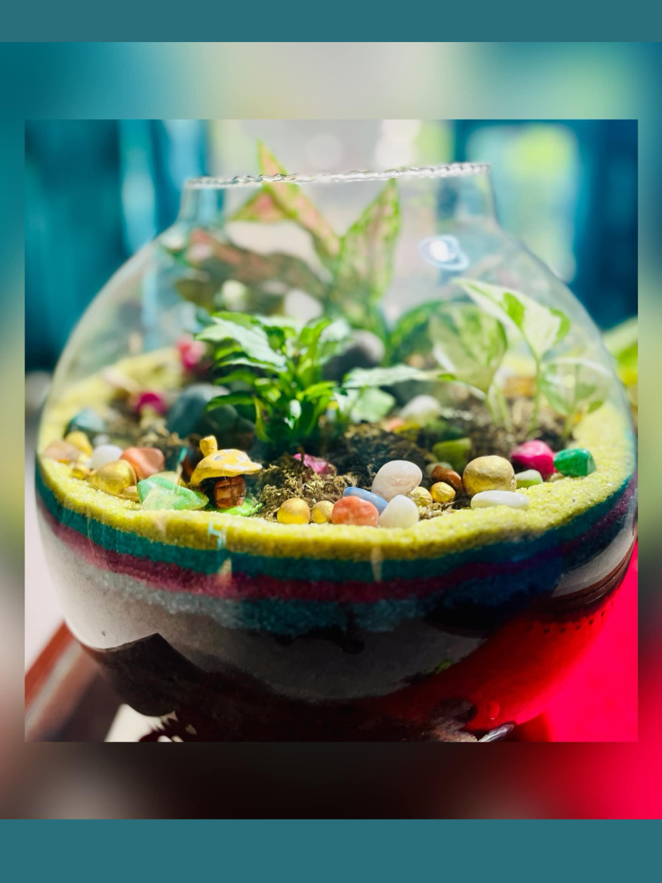 Vibrant Layered Terrarium