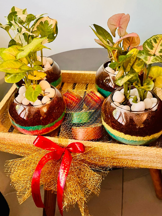 Green Elegance Gift Set