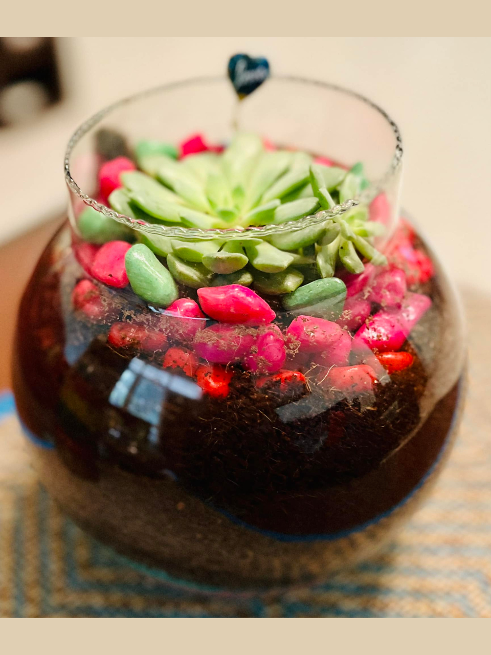 Succulent Elegance in a Glass
