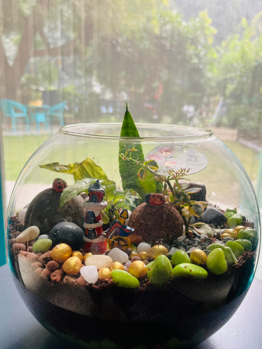 Miniature Garden Wonderland