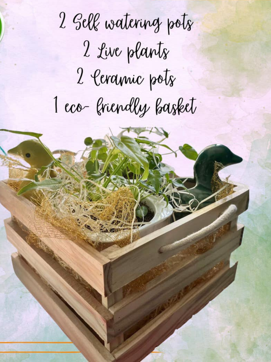 Eco-Luxe Green Gift Basket