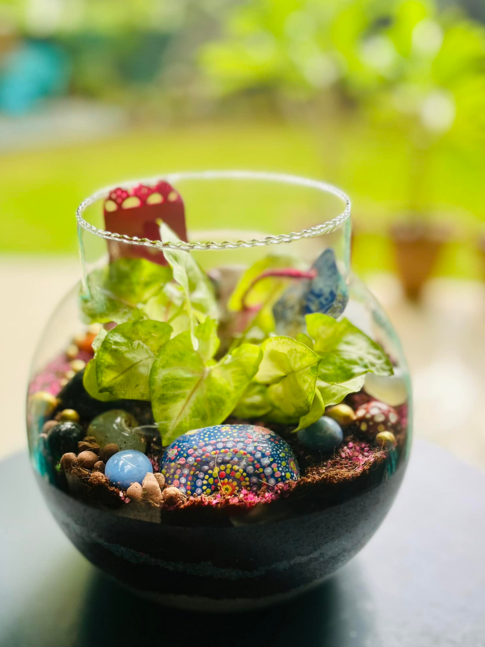 Terrarium Delight