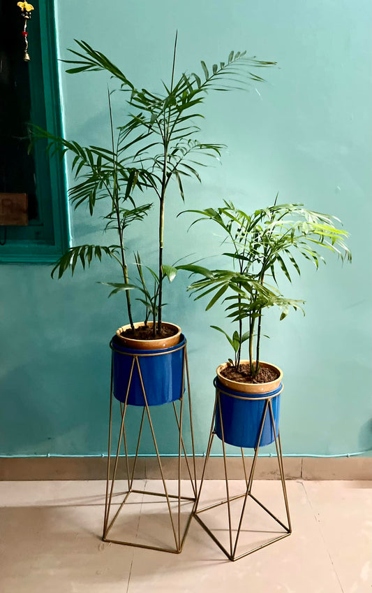Blue Metal Planters with Golden Stand (Set of 2)